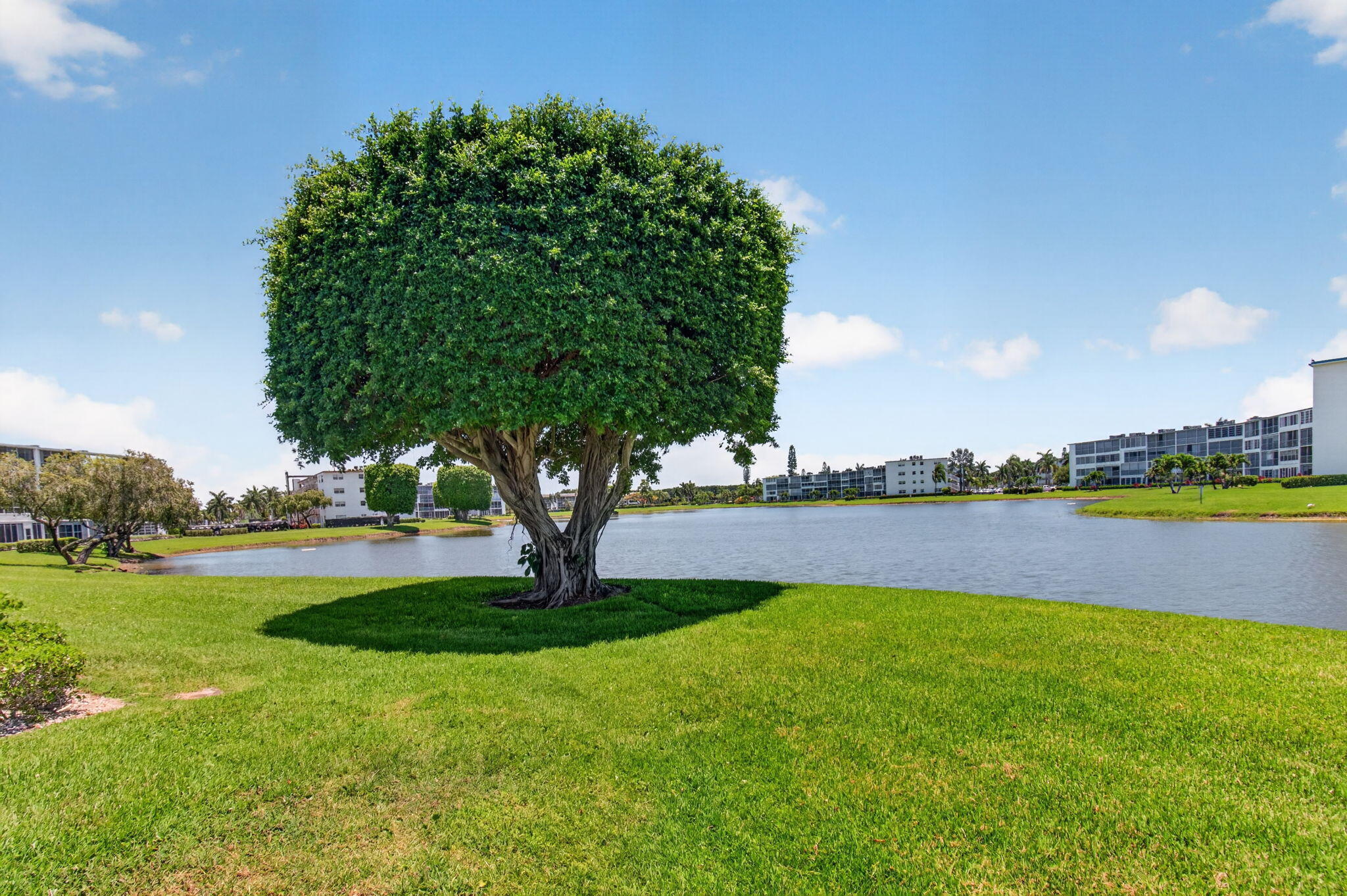 CENTURY VILLAGE - Residential