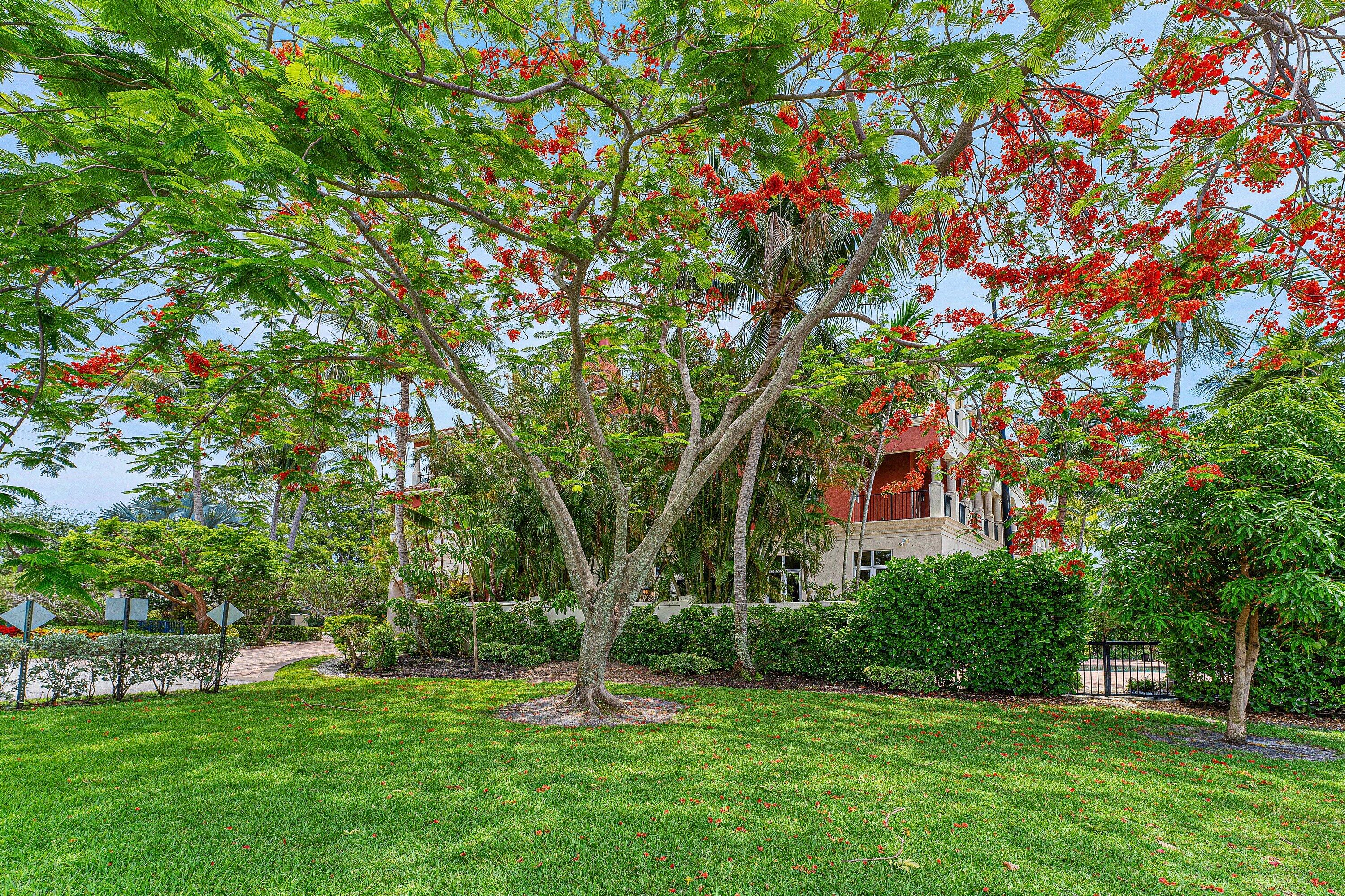Deerfield Beach Intracoastal Townhomes - Residential