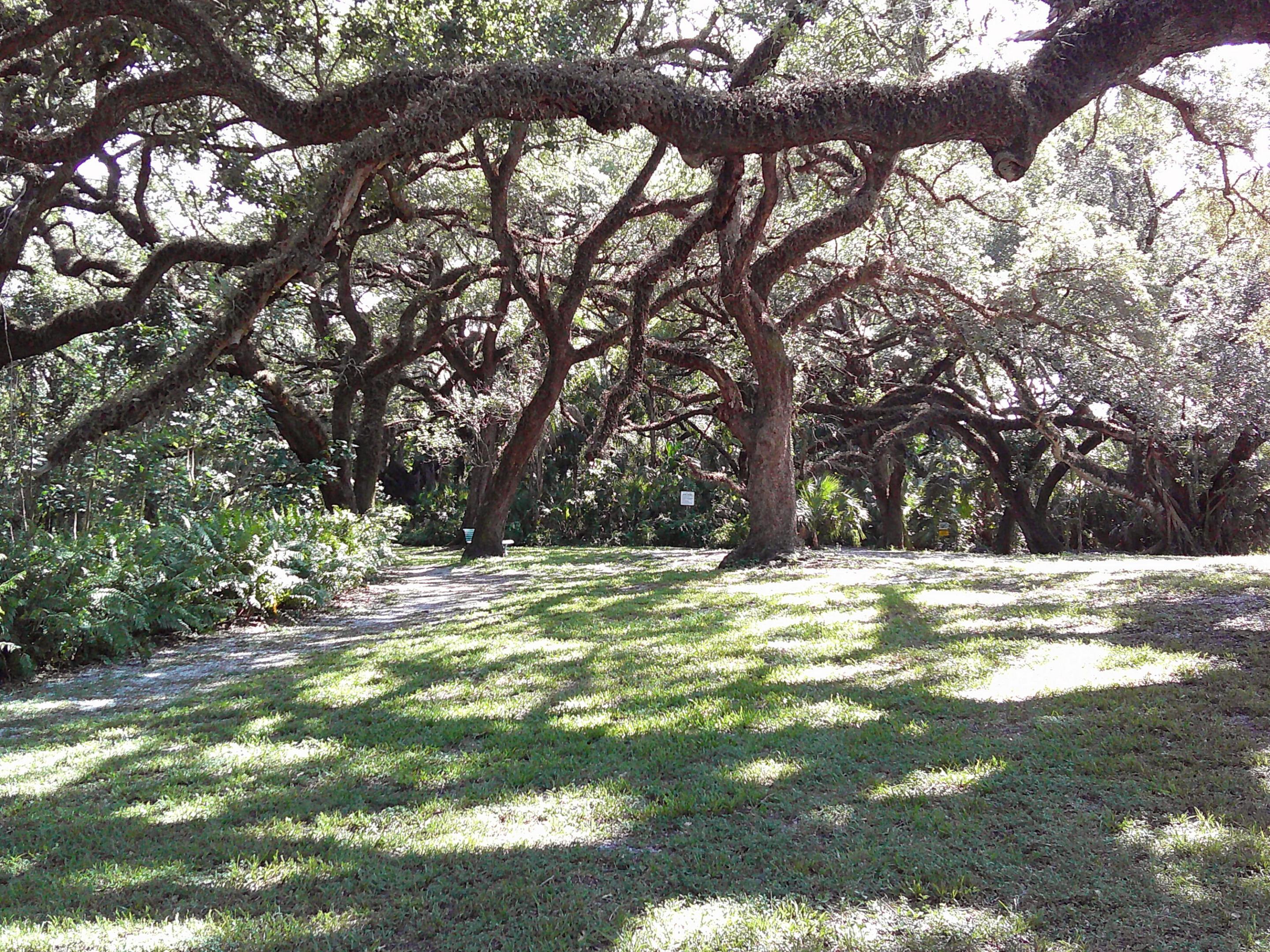 POINCIANA 2 OF PINE ISLAND RIDGE - Residential Lease
