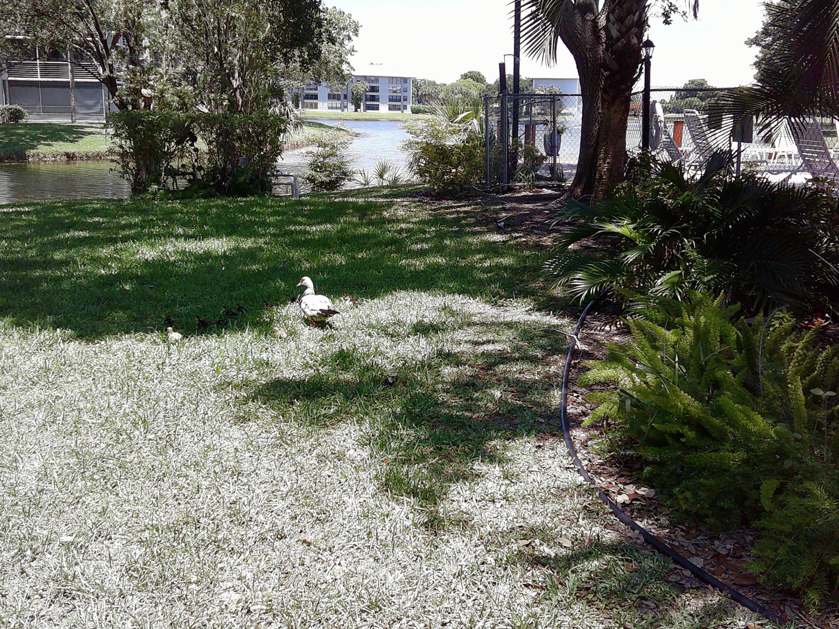 POINCIANA 2 OF PINE ISLAND RIDGE - Residential Lease