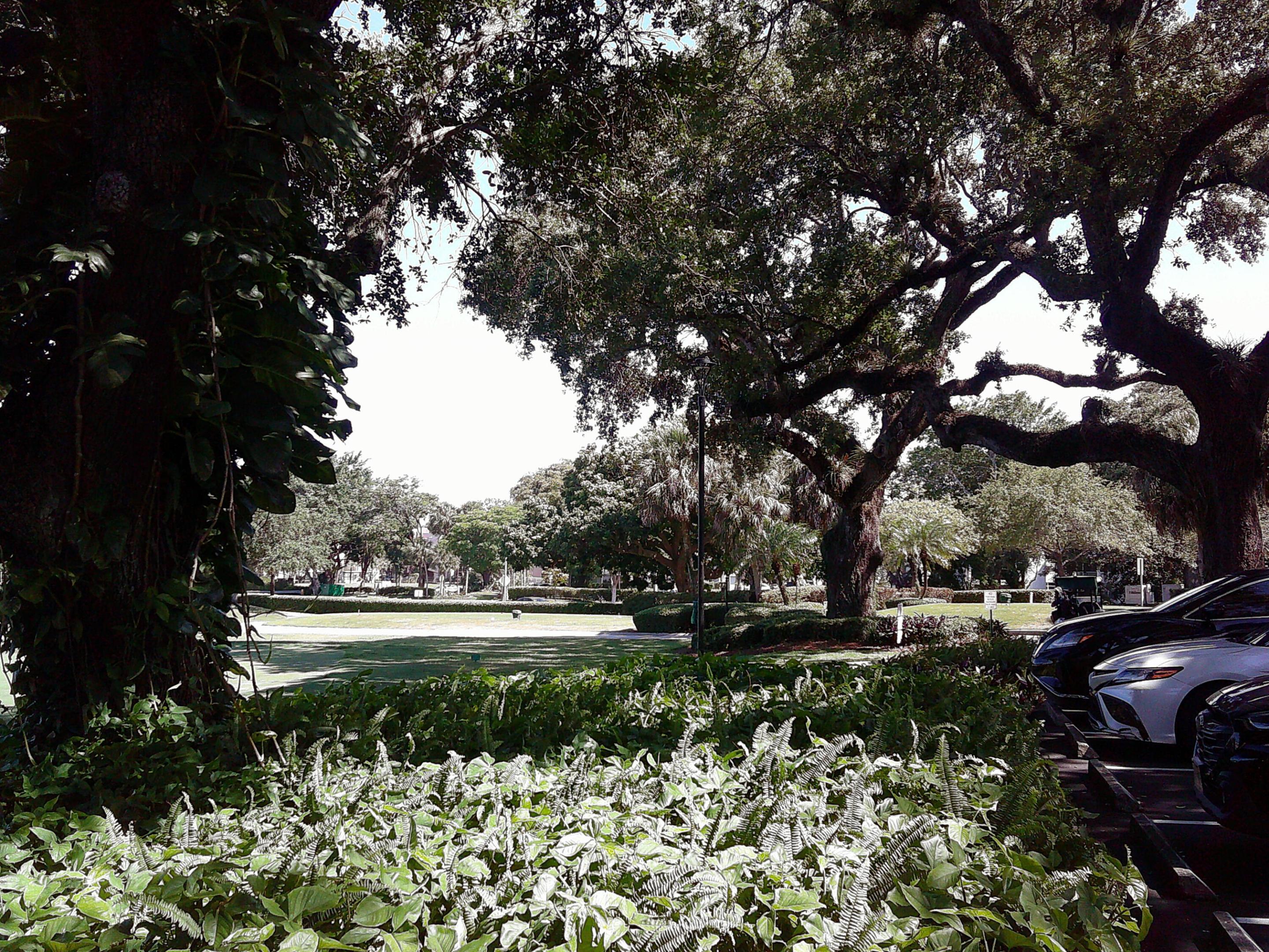 POINCIANA 2 OF PINE ISLAND RIDGE - Residential Lease