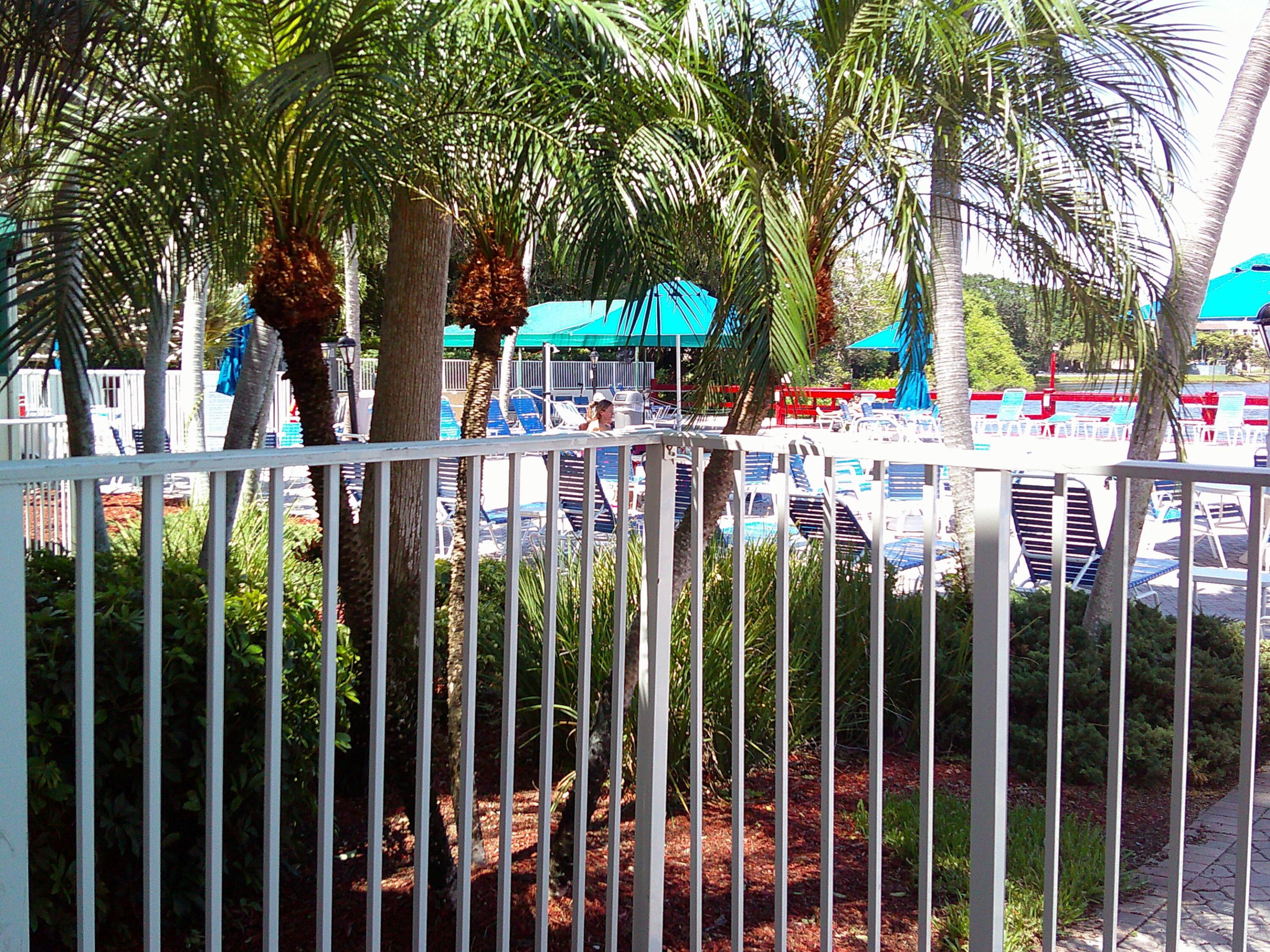 POINCIANA 2 OF PINE ISLAND RIDGE - Residential Lease