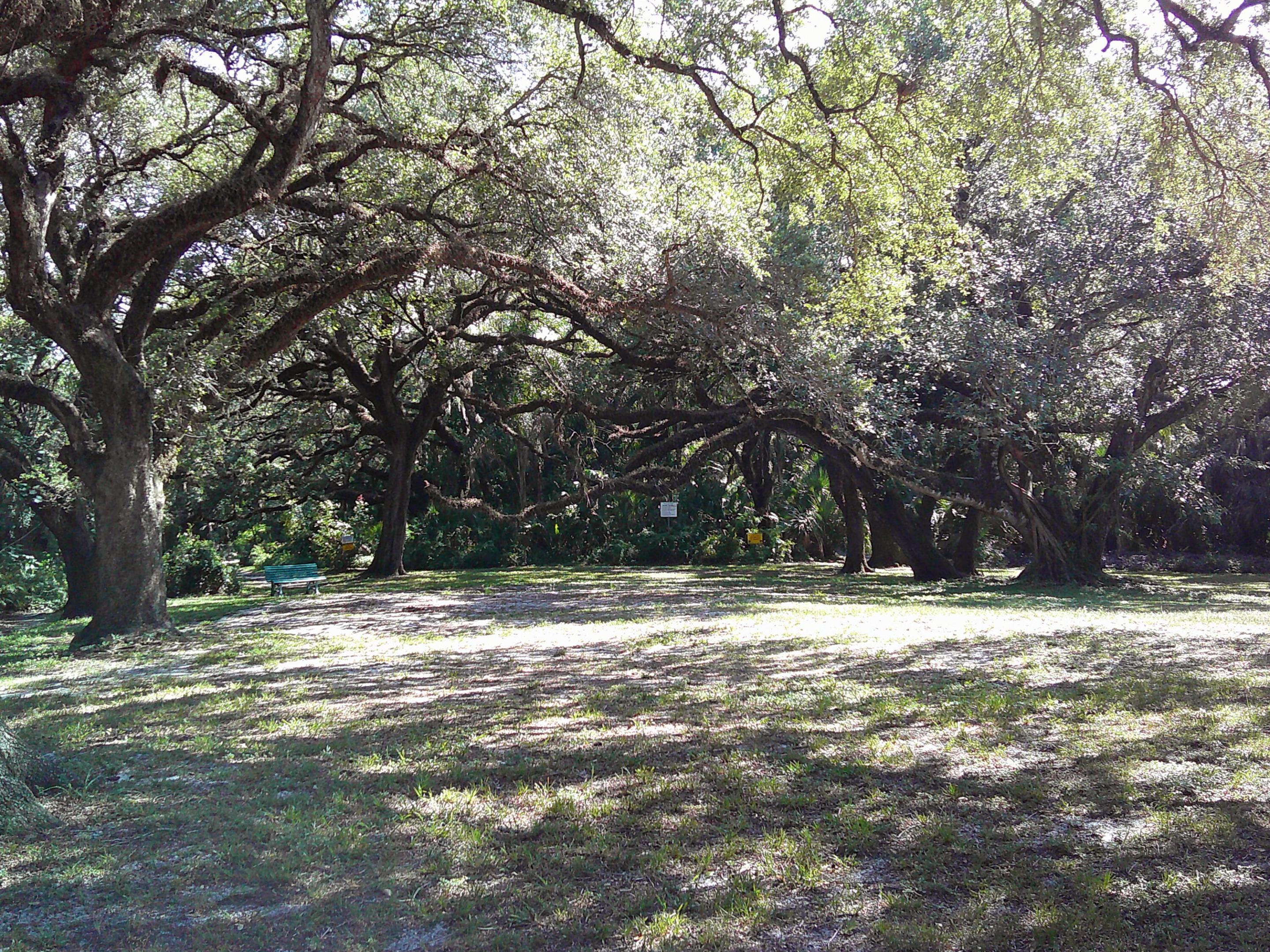 POINCIANA 2 OF PINE ISLAND RIDGE - Residential Lease
