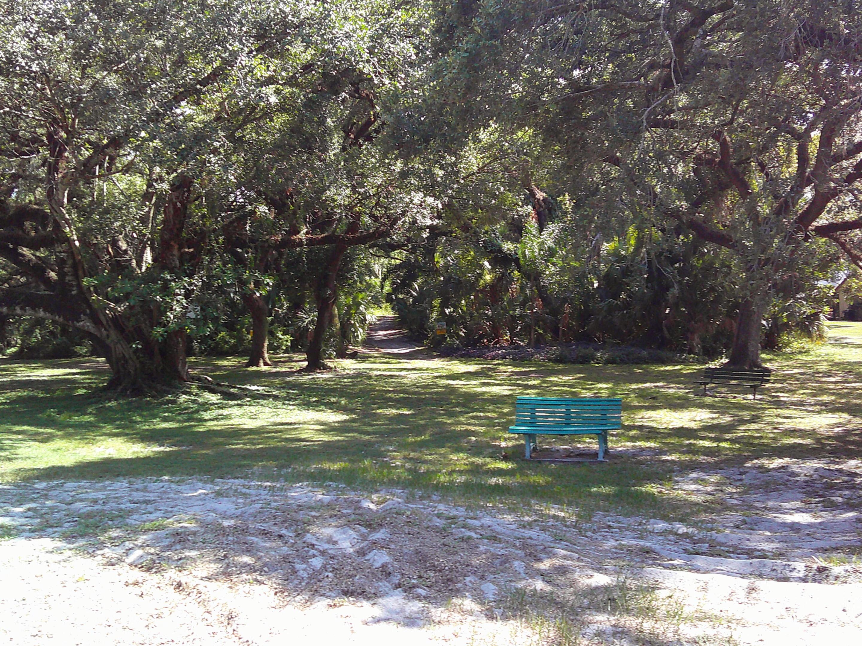 POINCIANA 2 OF PINE ISLAND RIDGE - Residential Lease