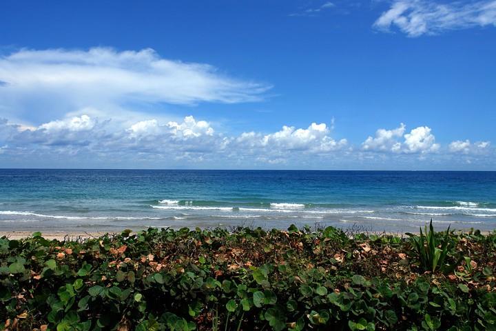 HARBOR BEACH - Residential