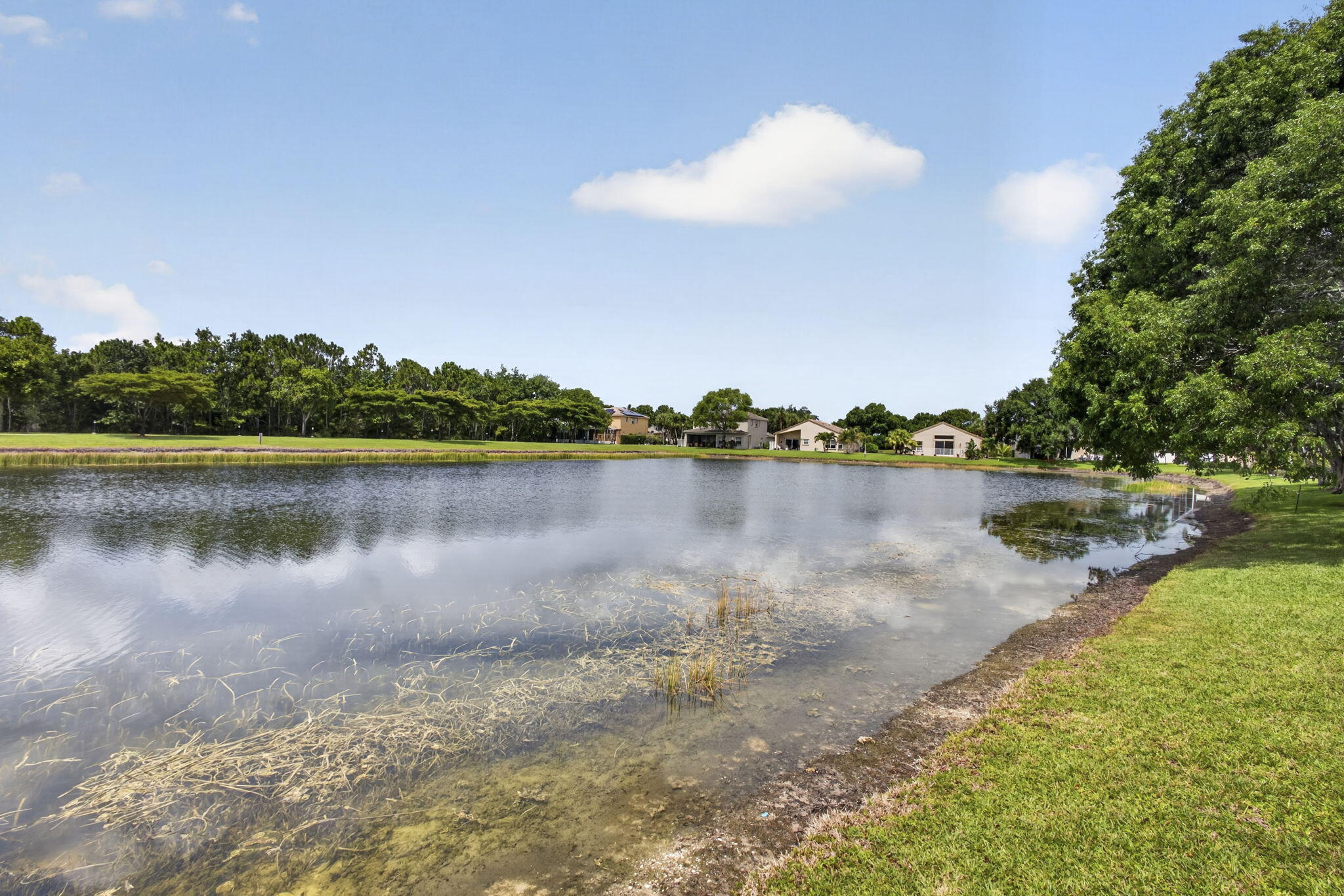 THOROUGHBRED LAKE ESTATES 1 - Residential