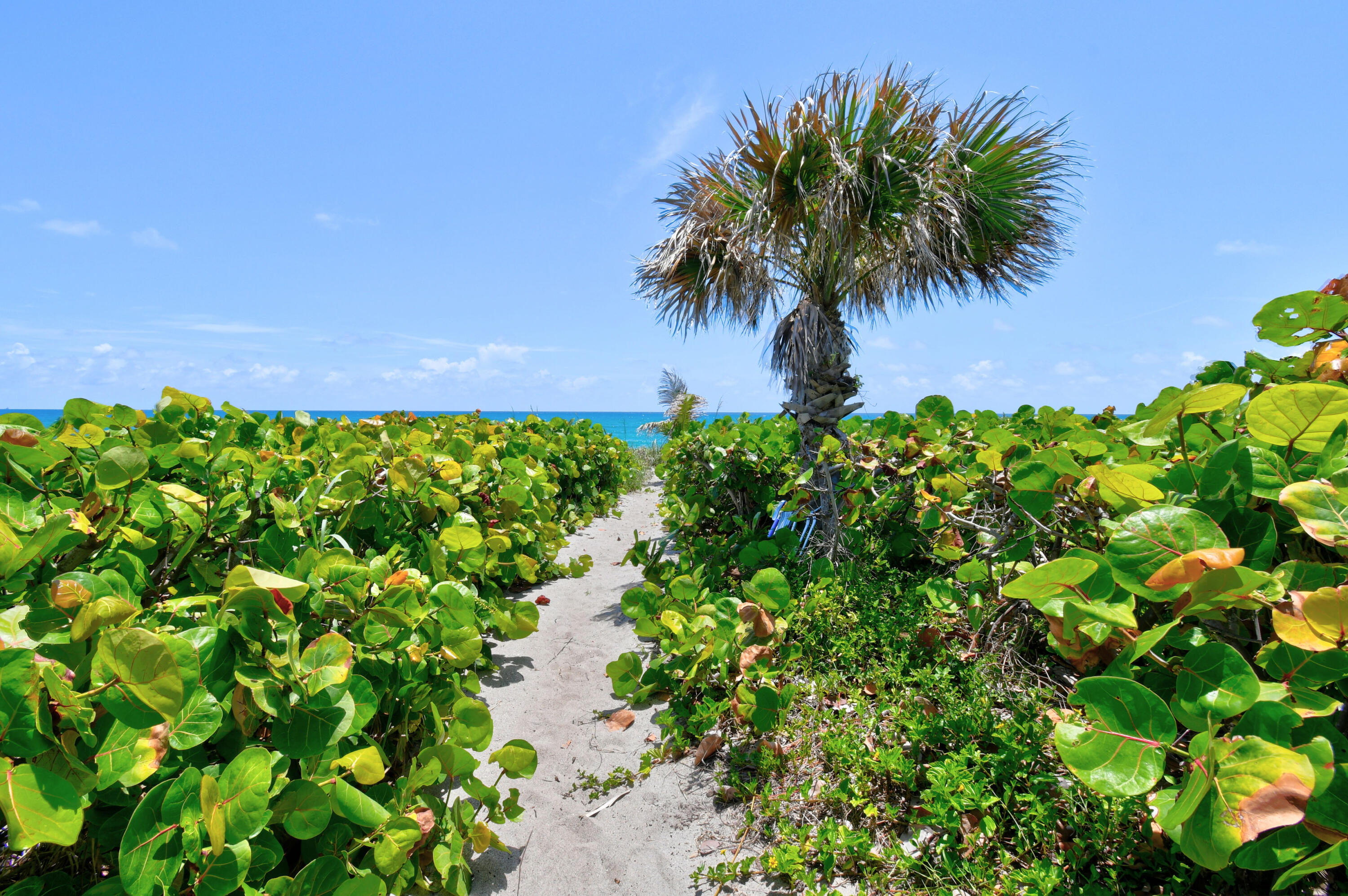 JUNO BEACH - Residential