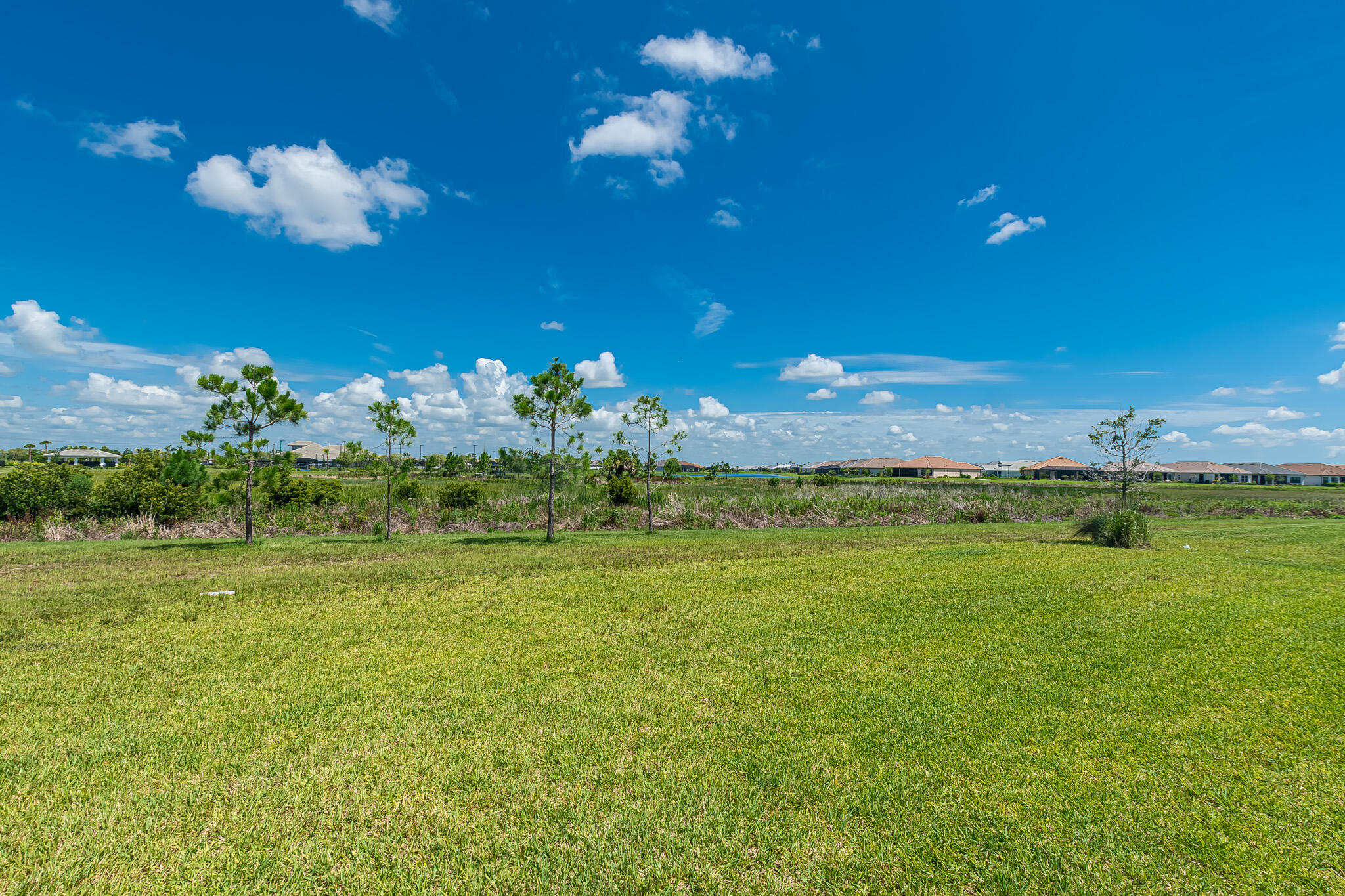 ESPLANADE AT TRADITION - Residential