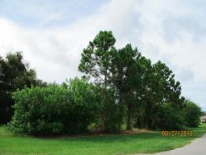 Port St Lucie Section 25 - Land