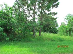 NICE LARGE CORNER LOT CENTRALLY LOCATED CLOSE TO SHOPS, HIGHWAYS AND MORE.  LOT APPEARS TO BE HIGH AND DRY. LOT NEXT DOOR IS ALSO AVAILABLE.