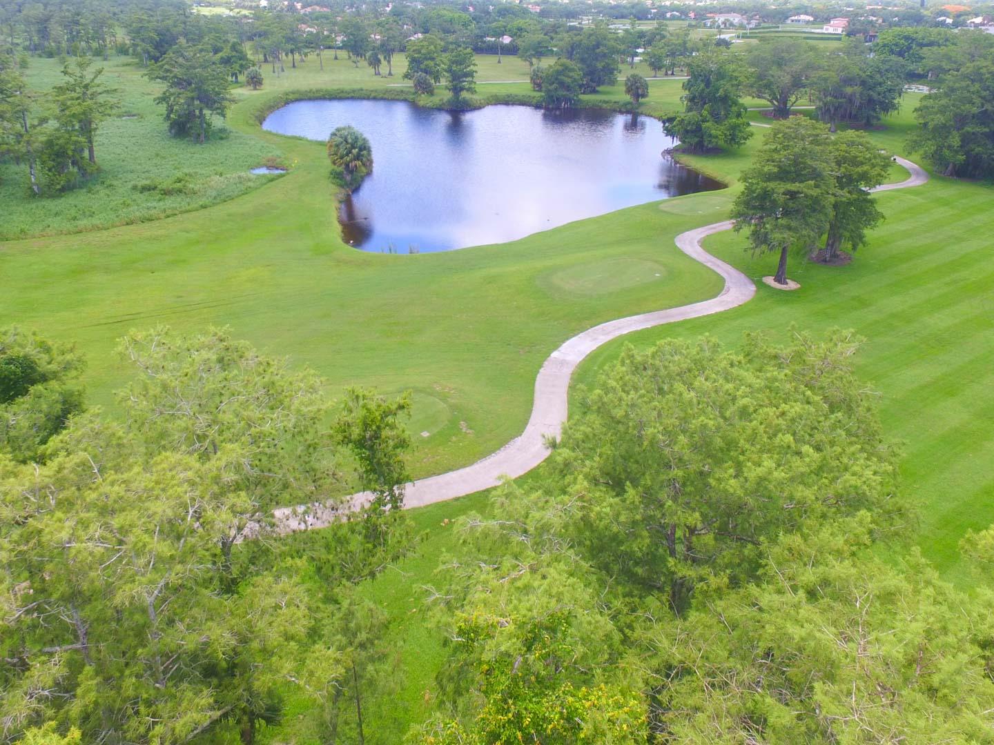 Blue Cypress - Residential