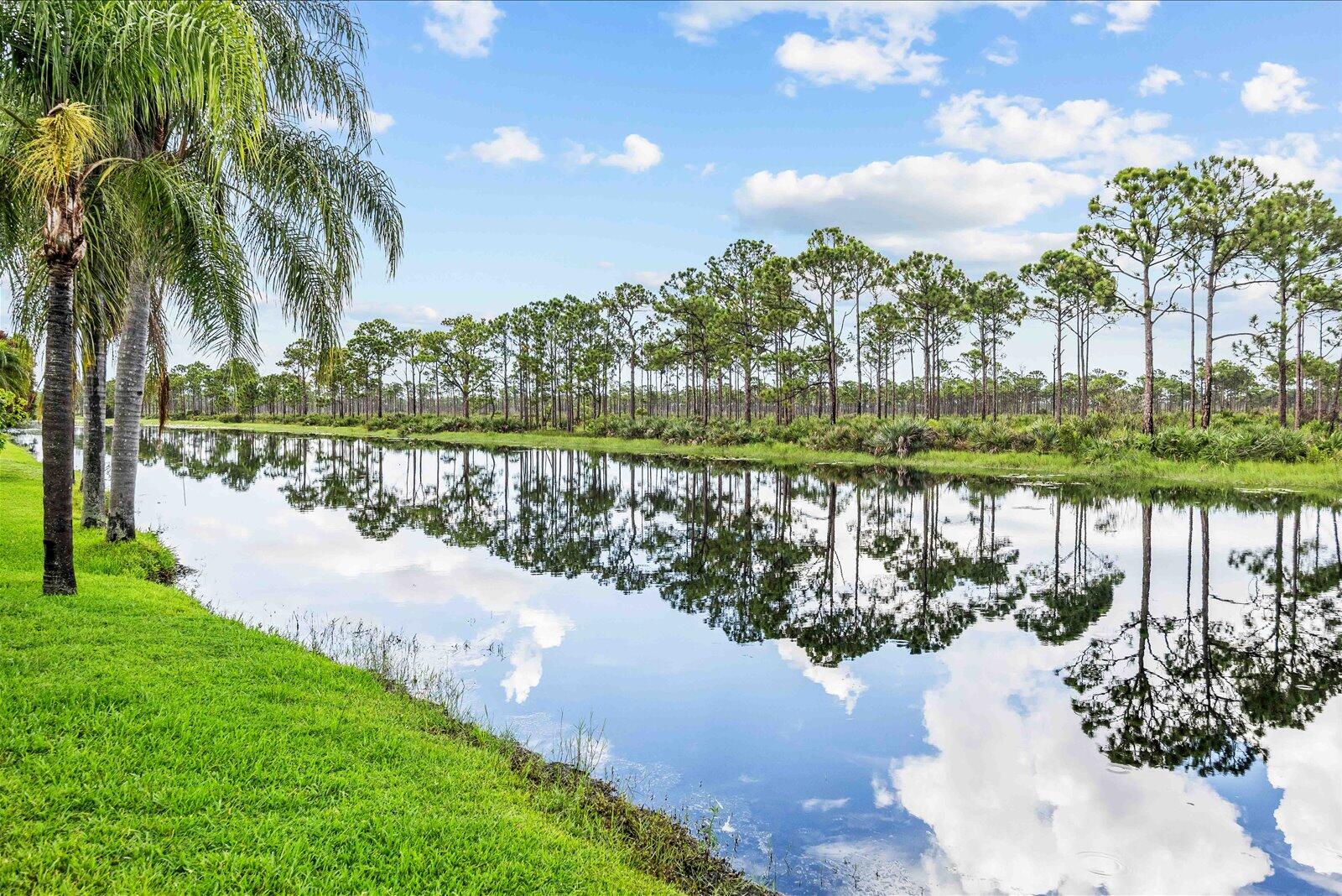 SAVANNA CLUB PLAT III - Residential