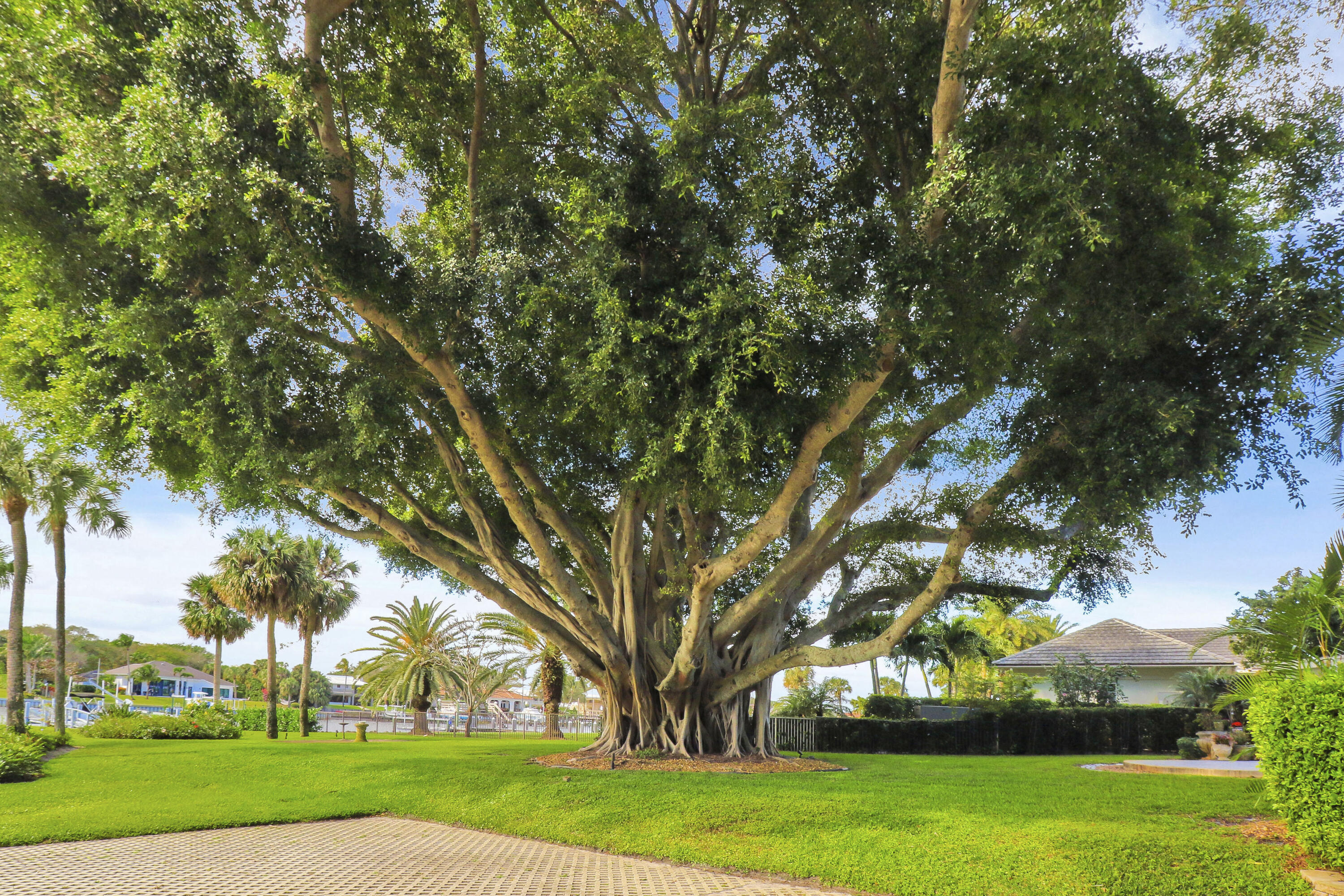 Bay Colony - Residential Lease