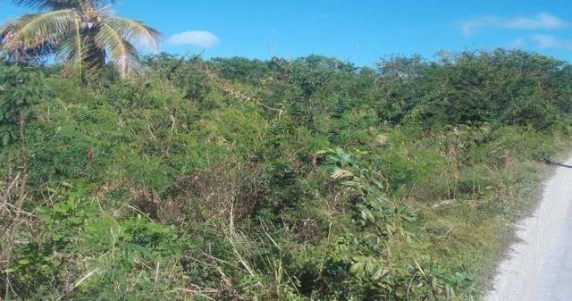 THE CROSSING, LONG ISLAND - Land