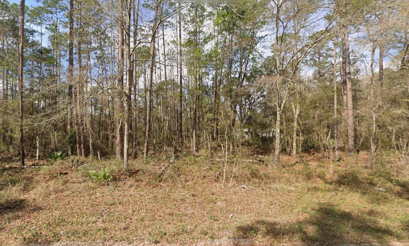INTERLACHEN LAKES ESTATES - Land