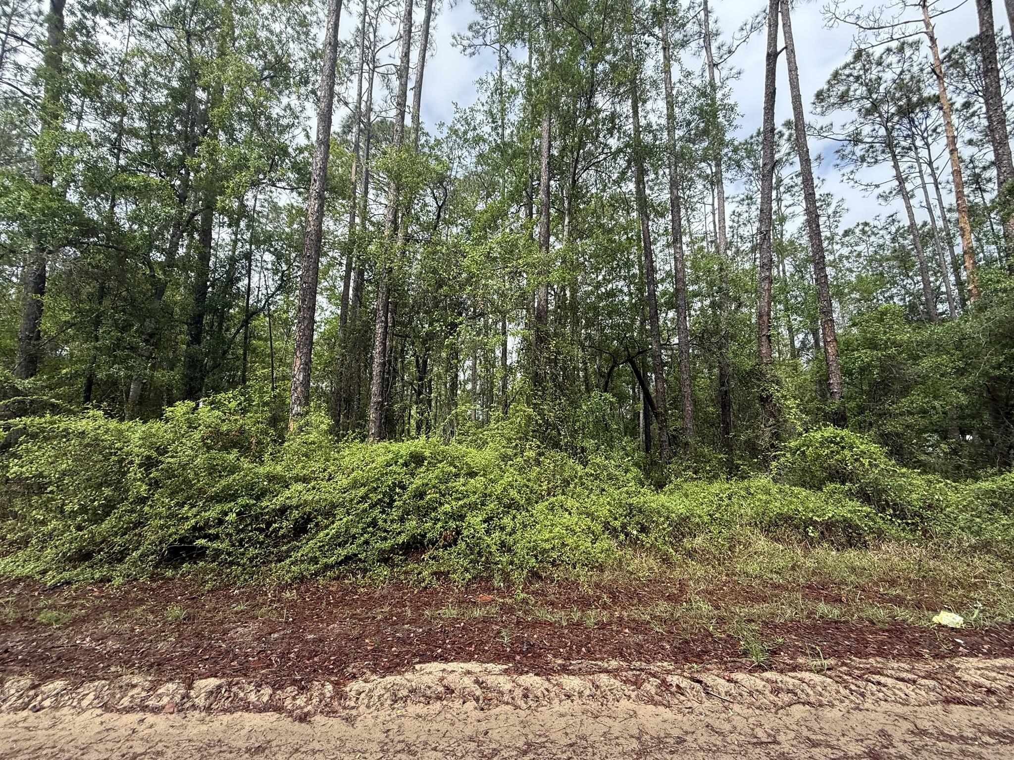 Great opportunity in Interlachen! Three parcels being sold together, totaling 0.63 acres, zoned R-2, offering flexibility for residential use. Whether you're looking to build a single-family home, place a mobile or manufactured home (buyer to verify), or invest for the future, this property provides plenty of space and potential. Located on Mullins Ave with easy access to local amenities, lakes, and outdoor recreation. Enjoy the quiet, rural feel while still being within reach of Palatka, Gainesville, and surrounding areas. Don't miss this affordable land opportunity in growing Putnam County.