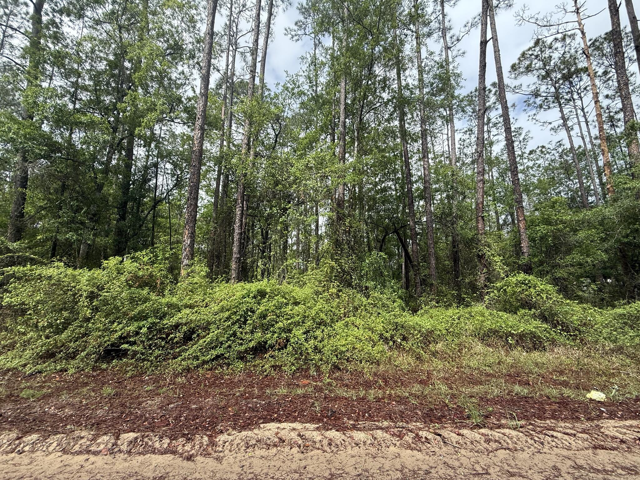 INTERLACHEN LAKES ESTATES - Land