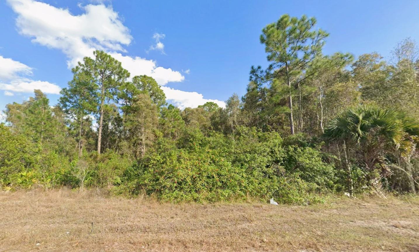 Build your Florida dream home on this 0.23-acre residential lot located in the growing community of Lehigh Acres. Zoned RS-1 for single-family residential use with no HOA. Enjoy the privacy of a peaceful neighborhood while remaining conveniently close to SR-82, shopping, dining, schools, parks, and all that Southwest Florida has to offer. Electric service is available nearby, with well and septic typically required for development. Whether you're looking to build now or invest for the future, this is an excellent opportunity in one of Lee County's fastest-growing areas. Buyer to perform all due diligence regarding zoning, utilities, environmental conditions, and future land use.