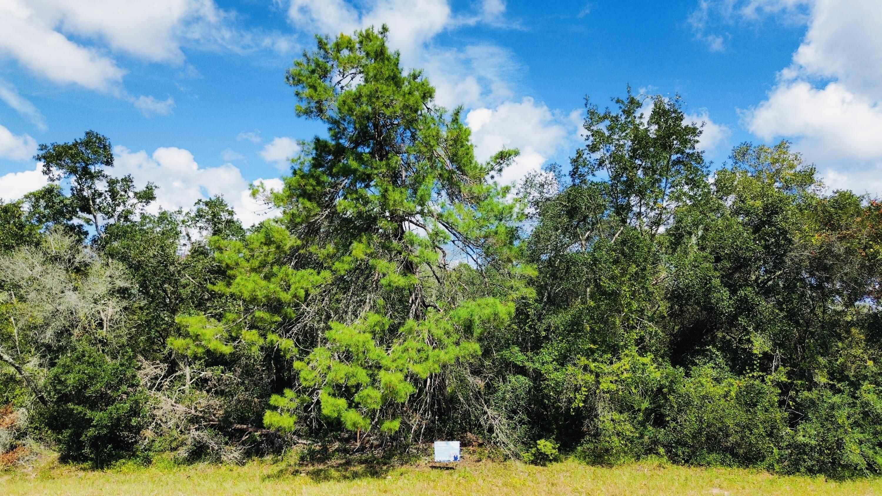 Marion Oaks - Land