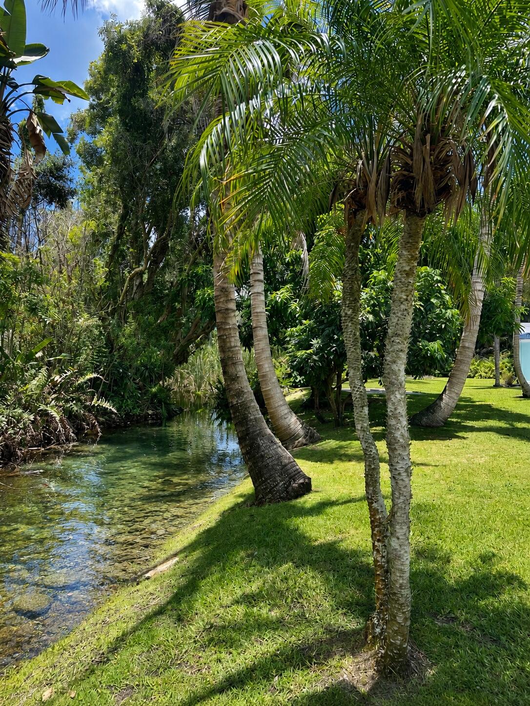 INDIAN RIVER FARMS COMPANY S/D - Residential