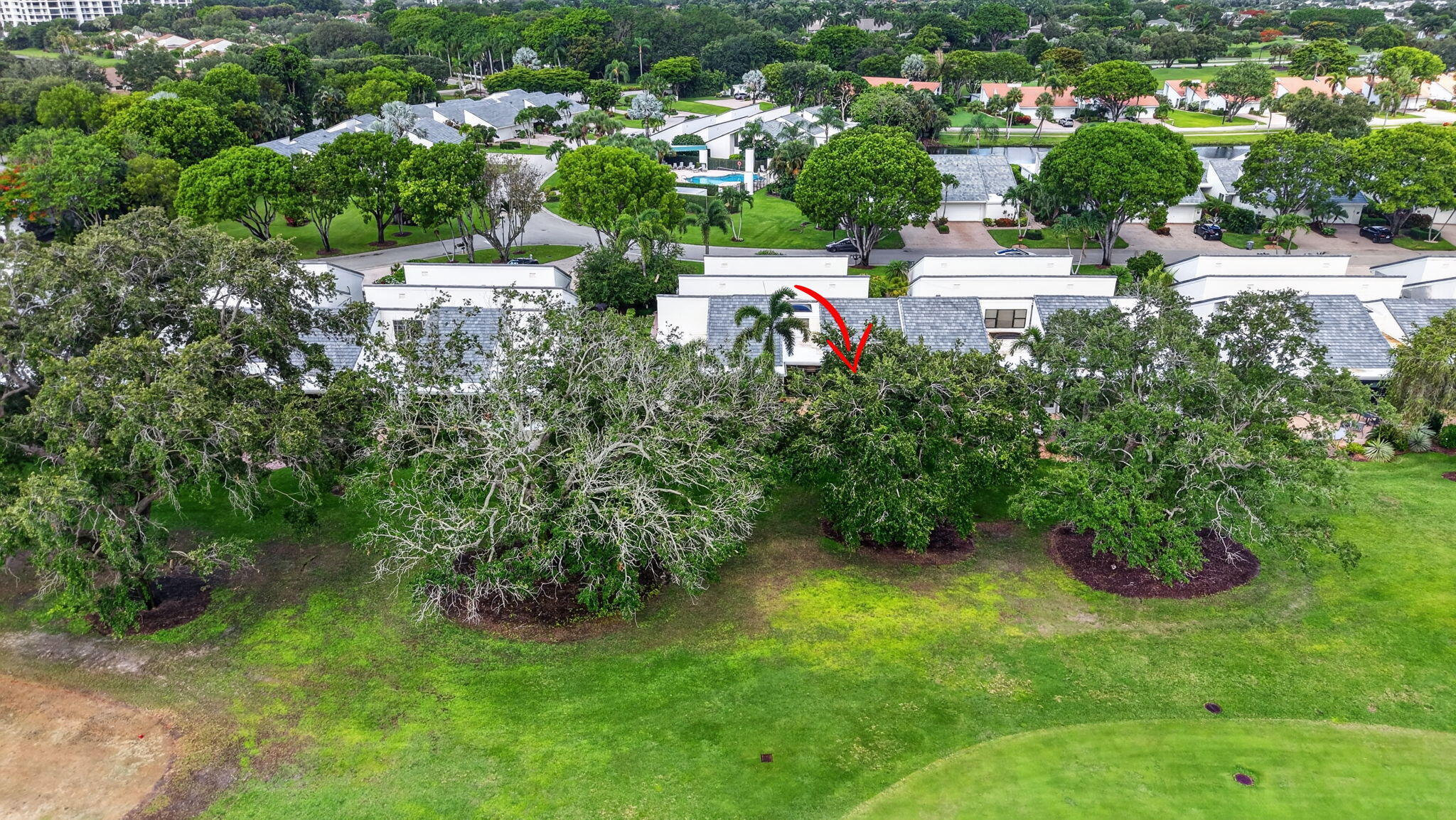 VILLAGE OF PEPPERTREE CONDO 1 - Residential