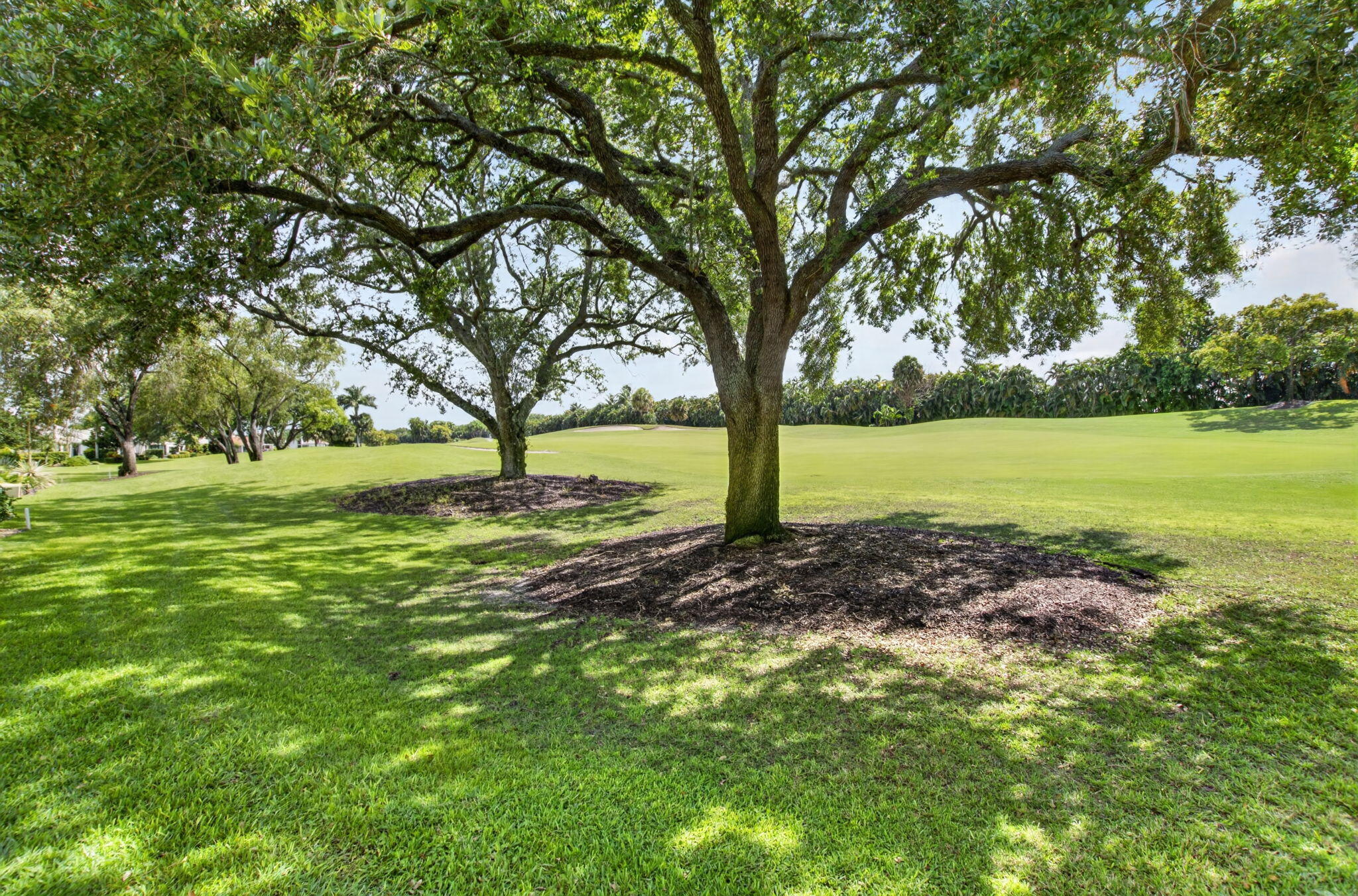 VILLAGE OF PEPPERTREE CONDO 1 - Residential