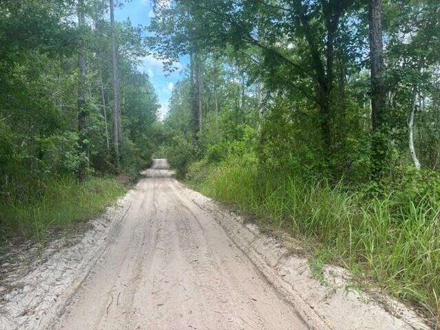 GS132 Green Swamp - Land