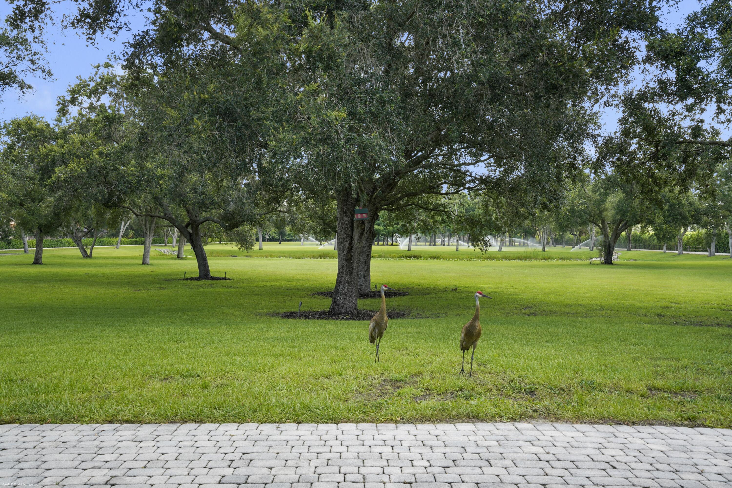 Rustic Ranches Estates - Residential