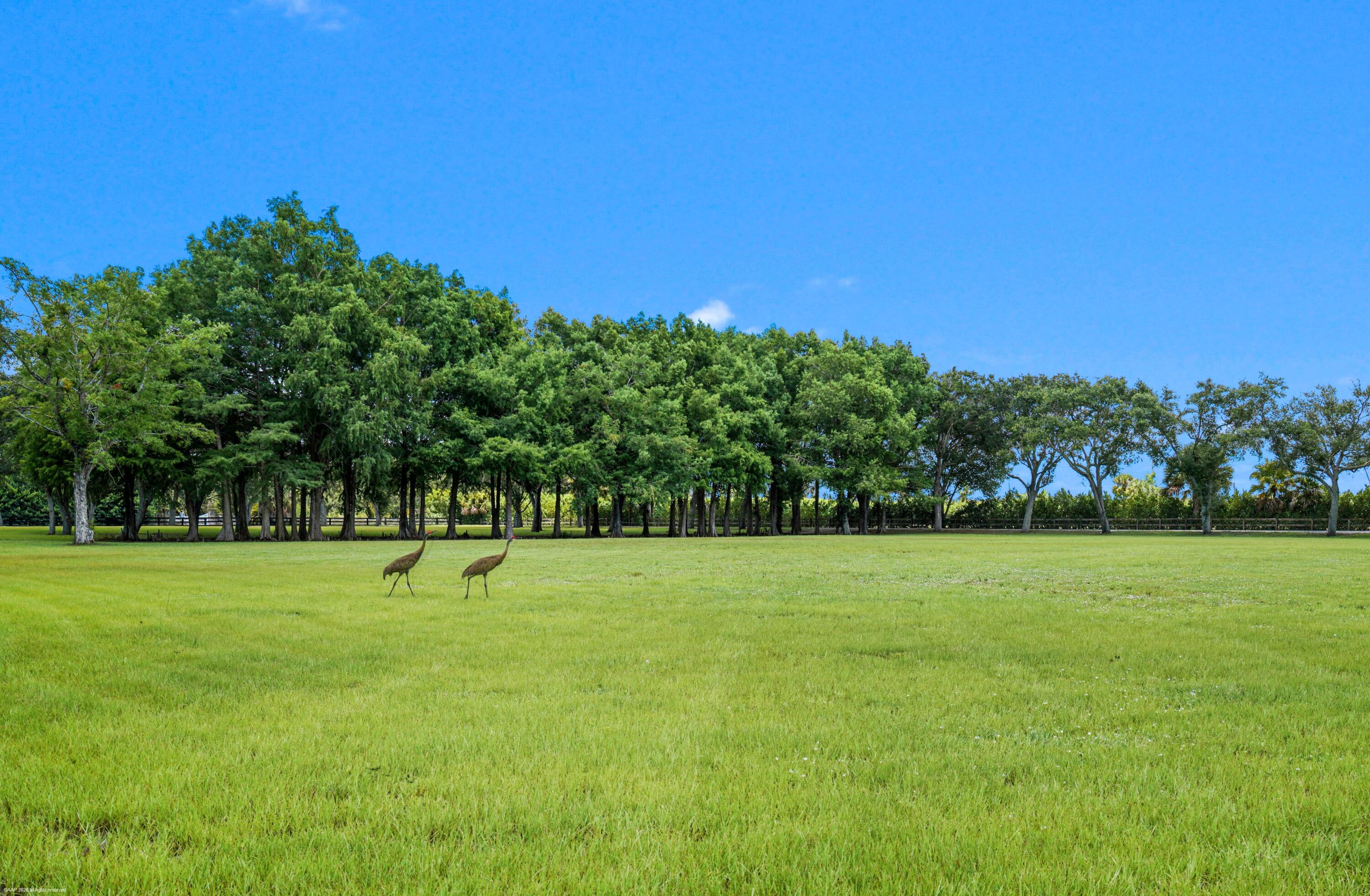 Rustic Ranches Estates - Residential