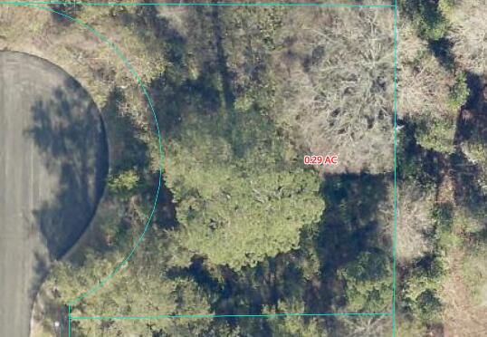 SILVER SPRINGS SHORES - Land