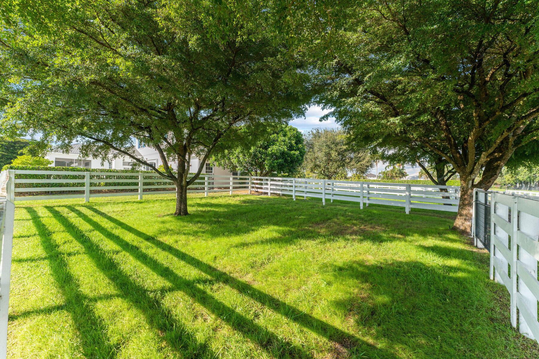 SADDLE TRAIL PARK OF WELLINGTON - Residential