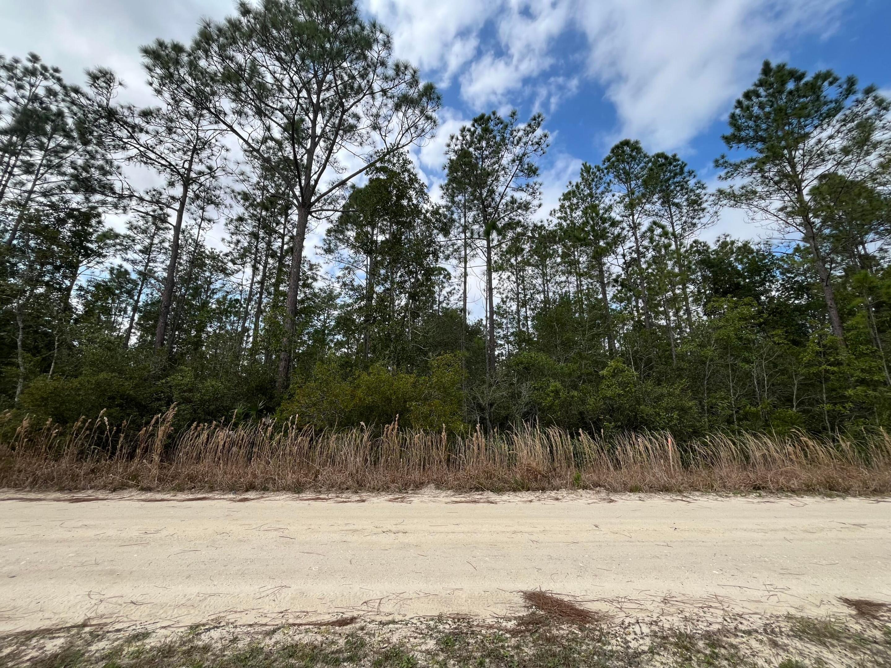 INTERLACHEN LAKES ESTATES - Land