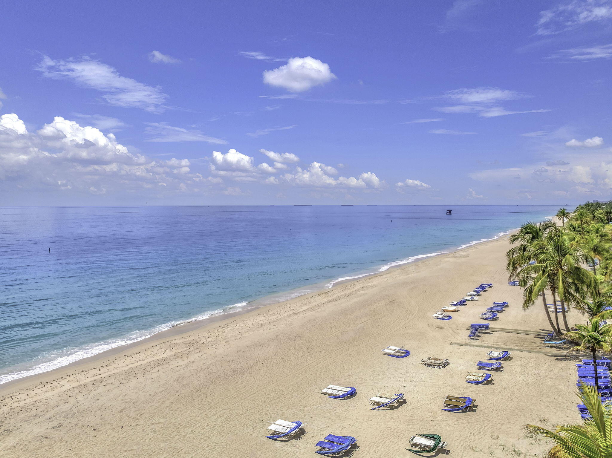 PLAYA DEL SOL CONDO - Residential