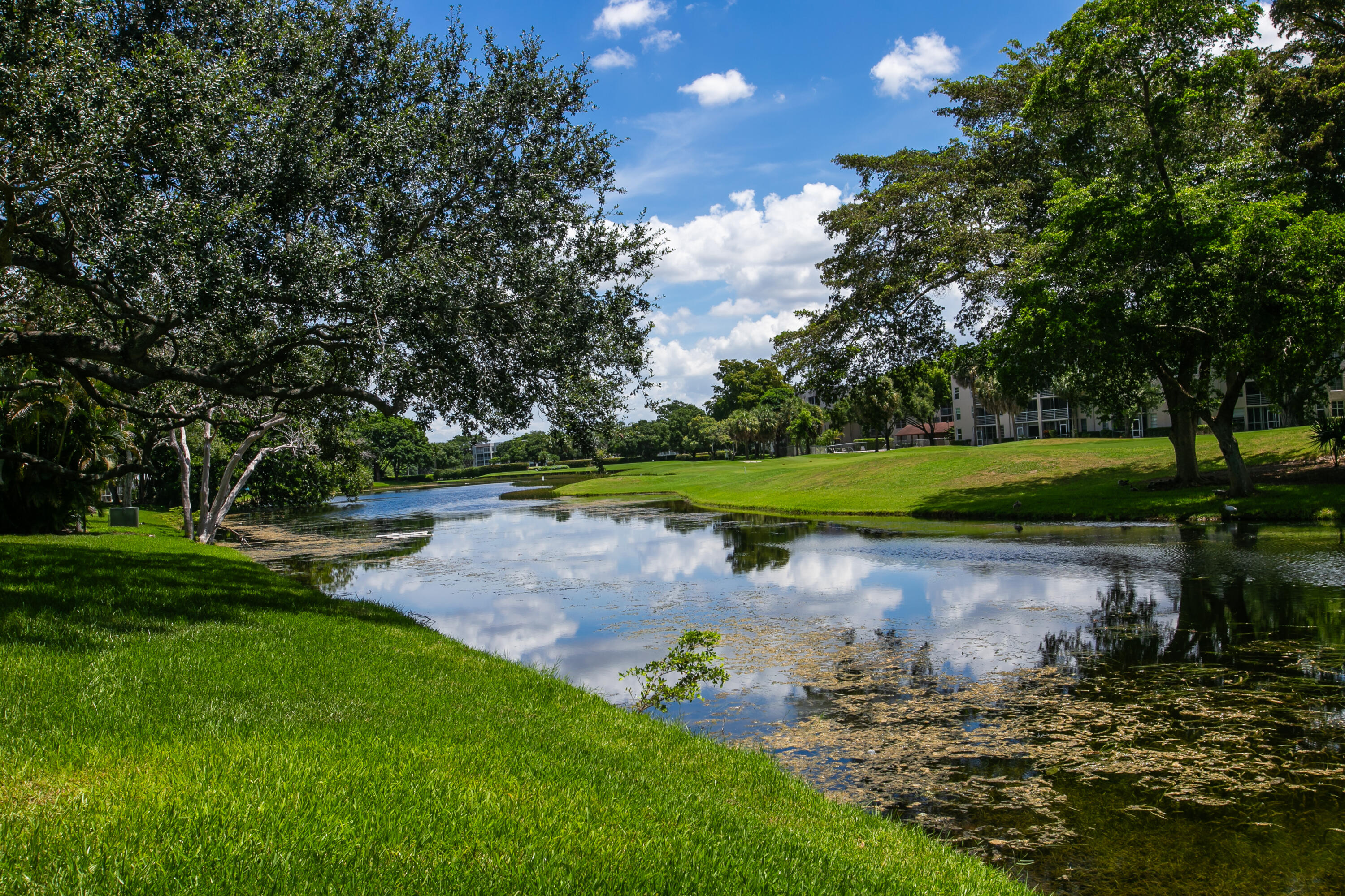 LIVE OAK CONDO ELEVEN - Residential Lease