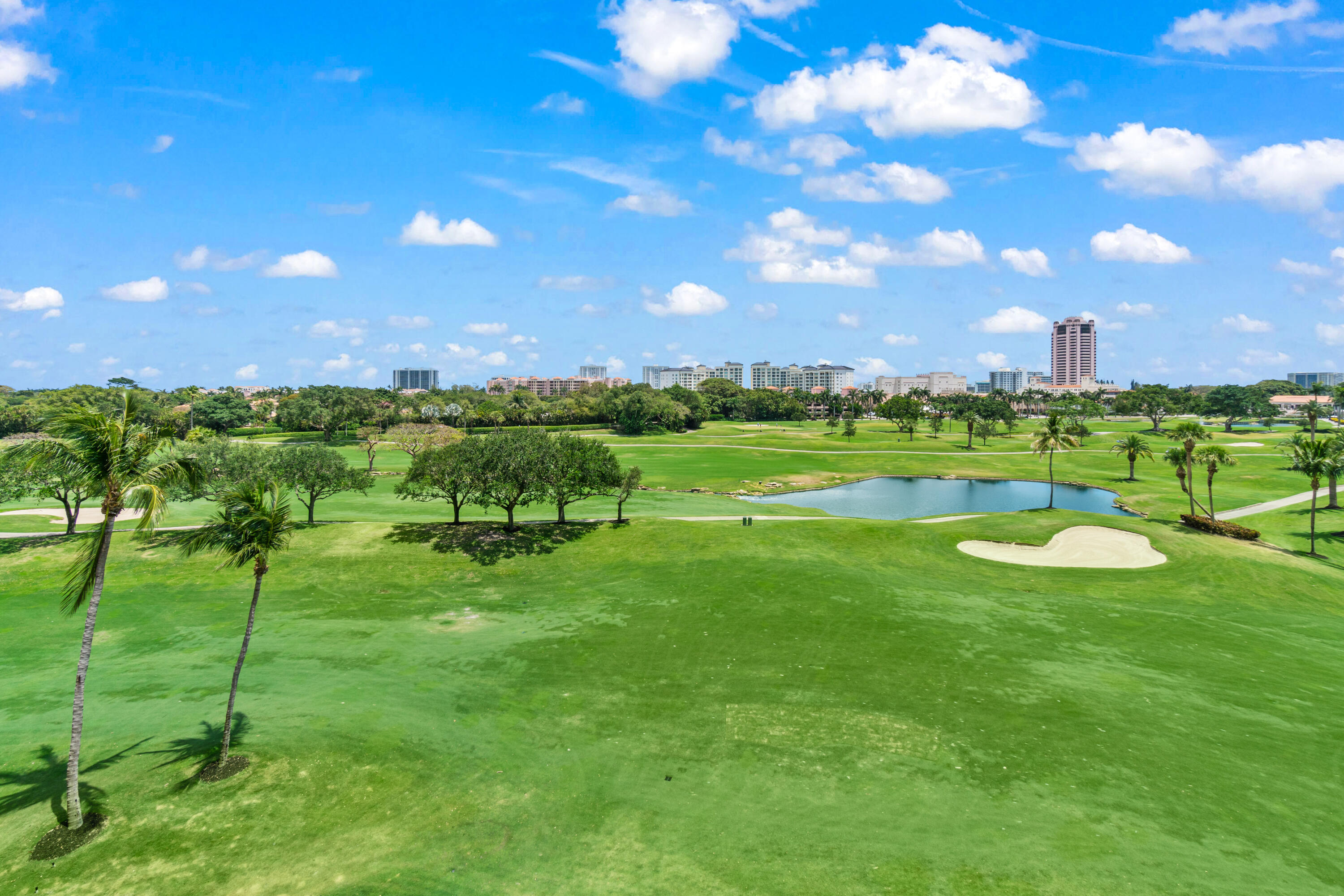 ALINA 220 BOCA RATON CONDO - Residential