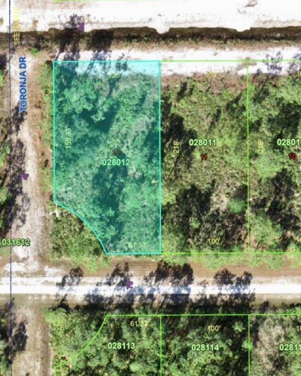 Indian Lake Estates - Land