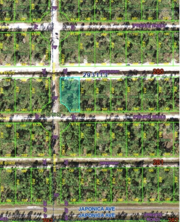Indian Lake Estates - Land