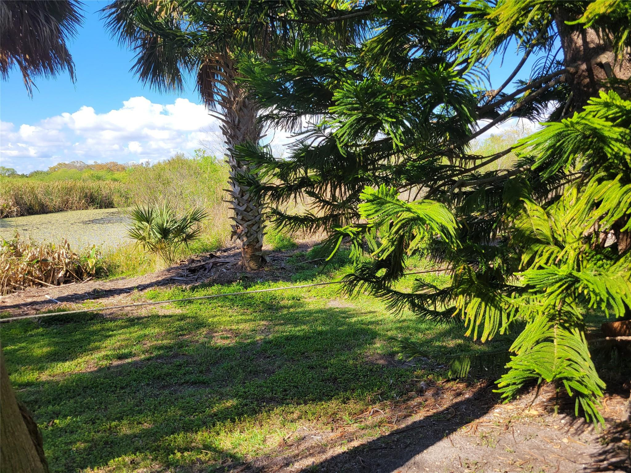 SILVER PALMS RV VILLAGE - Land