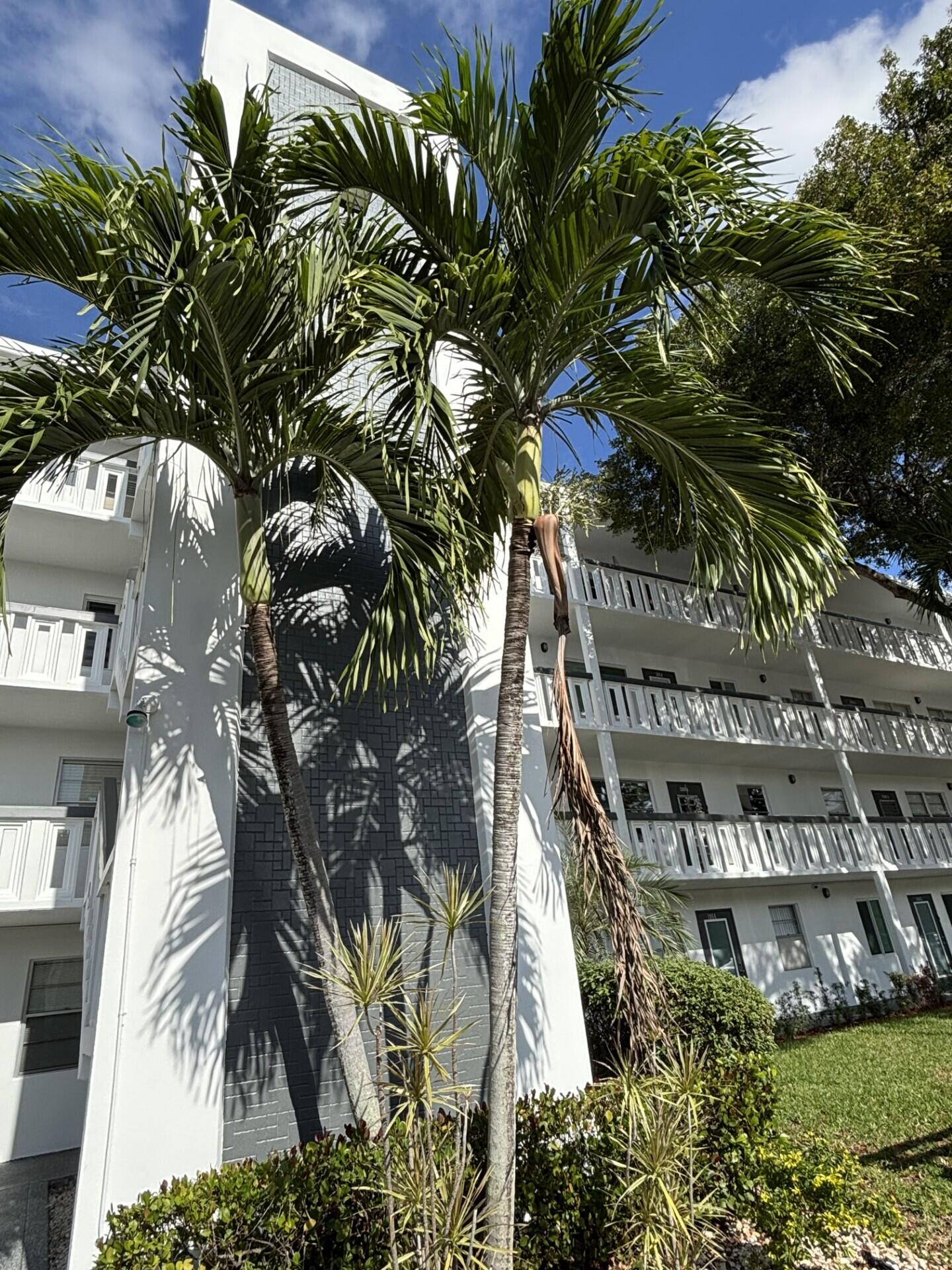 Century Village - Residential