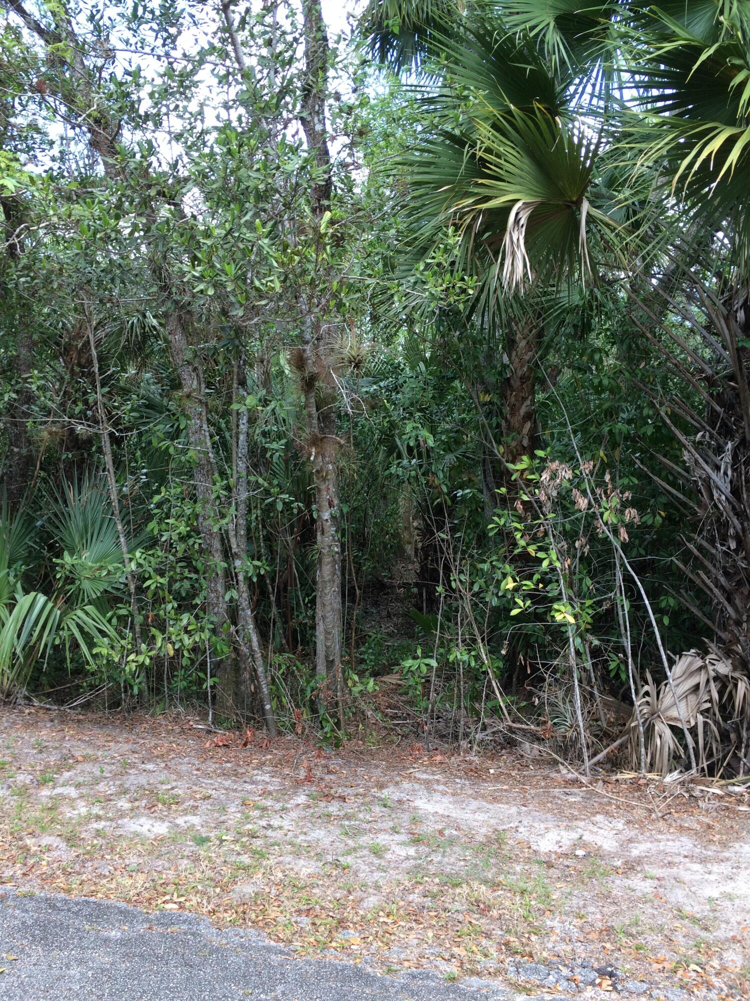 Dream no more-this 1.1-acre waterfront parcel on Old River Road is a rare chance to own a peaceful piece of Fort Pierce in a desirable Old Florida area. Tucked into a quiet, established neighborhood, the property features water frontage, mature trees, privacy, wildlife, and an away from it all feel while still being close to Midway Road, shopping, schools, downtown Fort Pierce, Port St. Lucie, and the beaches. Enjoy direct waterfront, fixed-bridge ocean access for smaller boats, kayaking, paddleboarding, fishing, and the opportunity to create a custom coastal retreat. The surrounding area continues to mature, with Publix just down the road. Buyer to verify building requirements, wetlands, permitting, utilities, bridge clearance, navigability, dock potential, and intende d use.