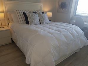 THE HARBOUR SOUTH CONDO - Residential