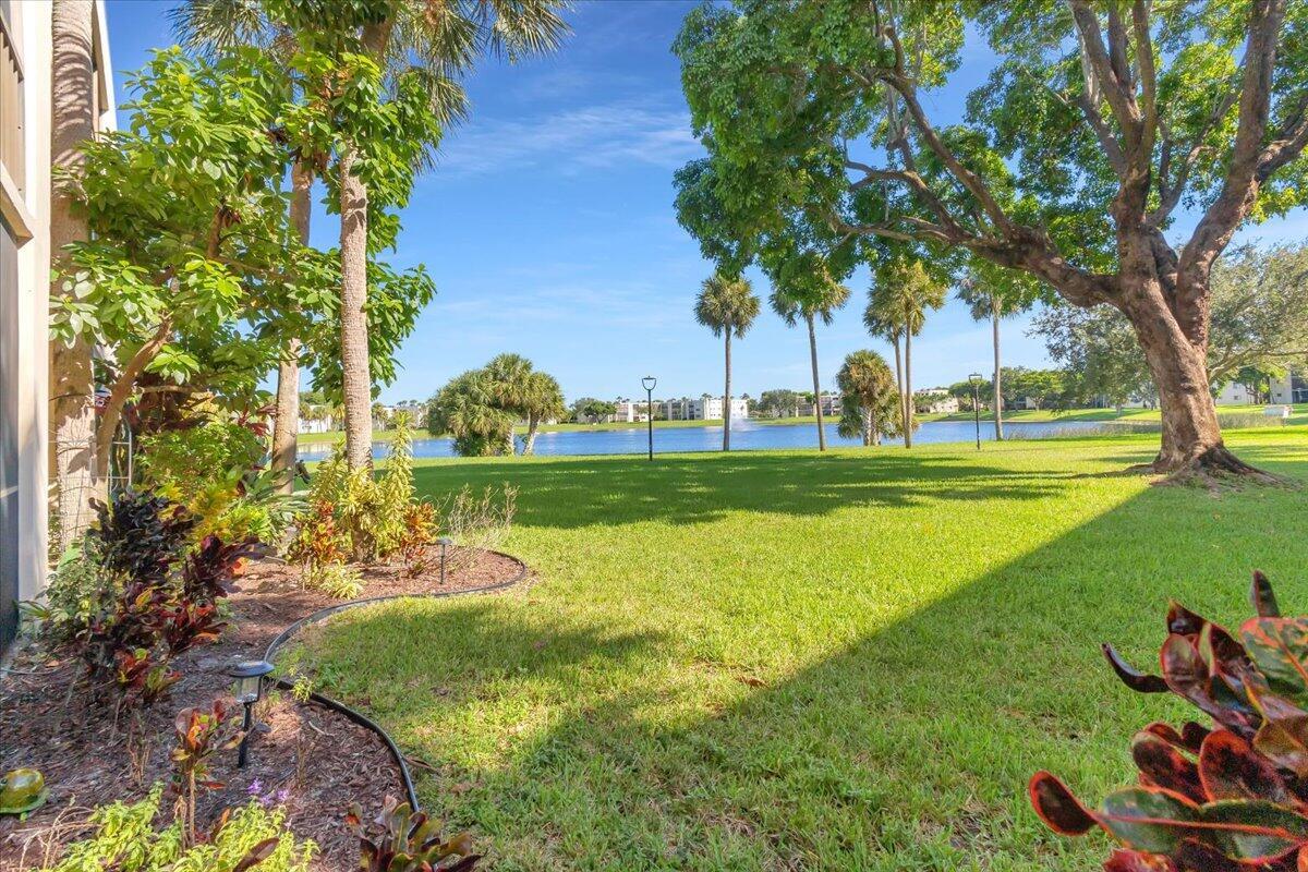 OLIVE LEAF CONDO - Residential
