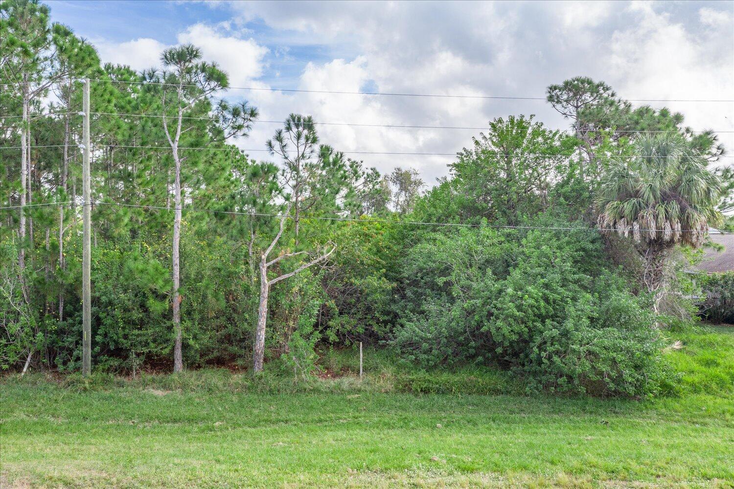 PLACID LAKES SEC 20 - Land