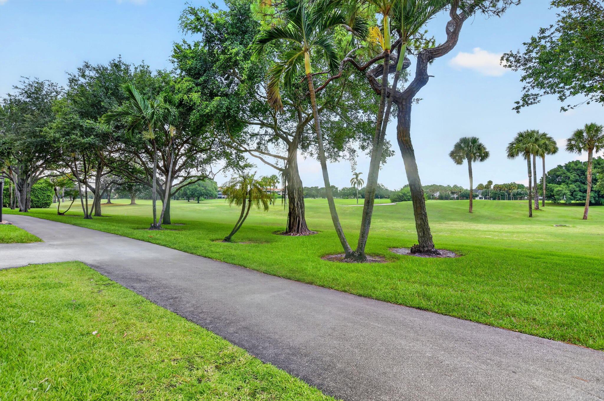 PROMENADE AT BOCA POINTE - Residential