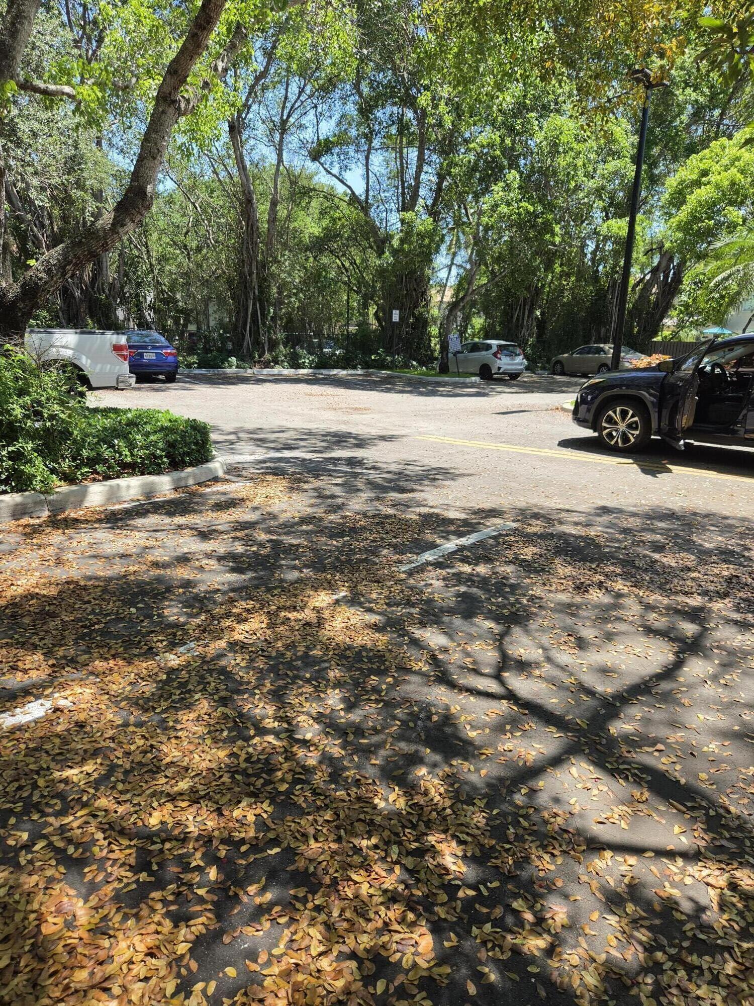 MINTO PLANTATION-2 - Residential