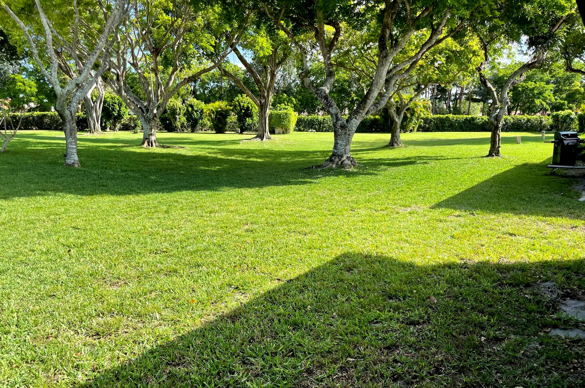 PALM CHASE CONDO - Residential Lease