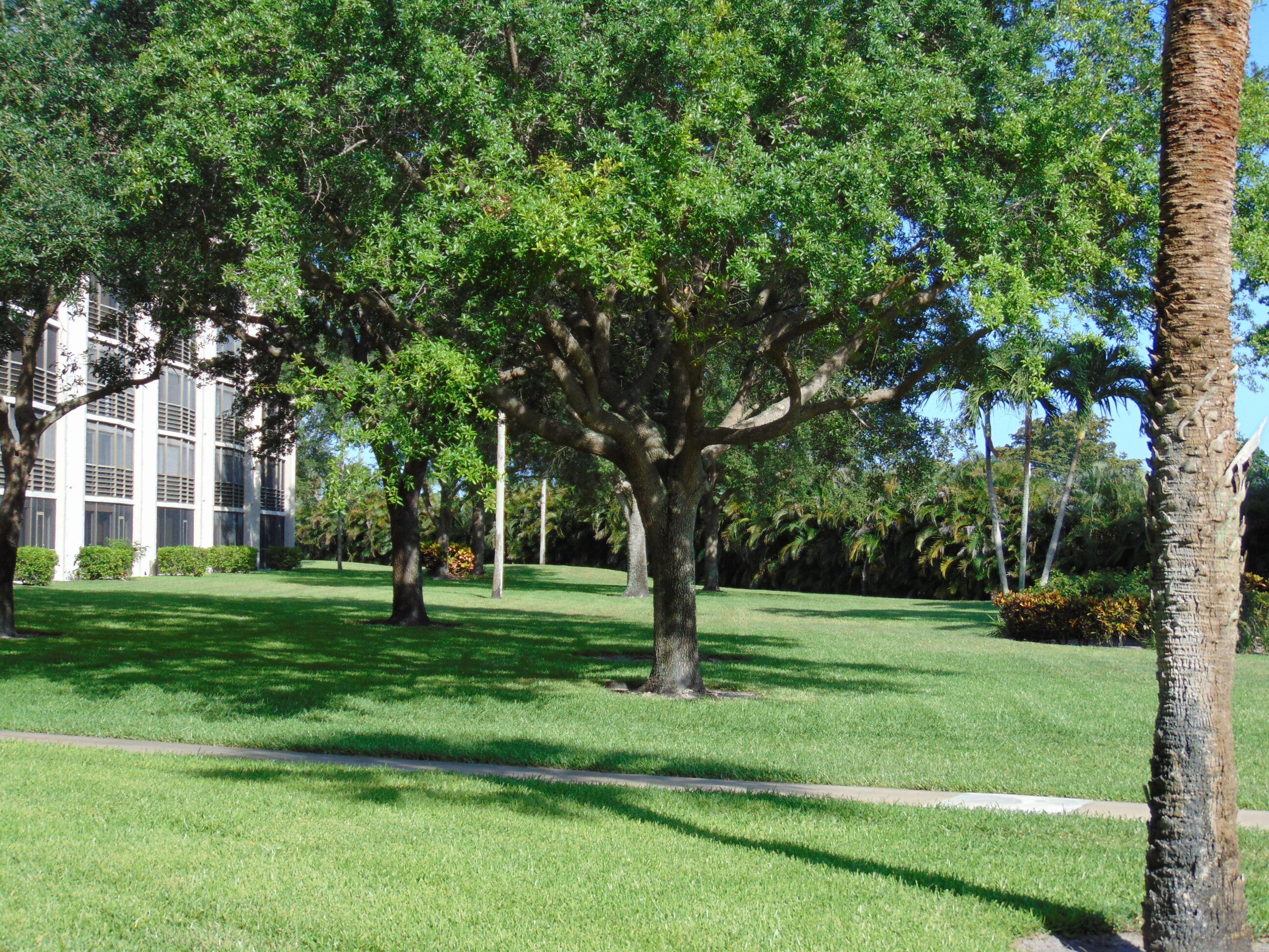 PATIOS OF BOCA BARWOOD CONDO - Residential