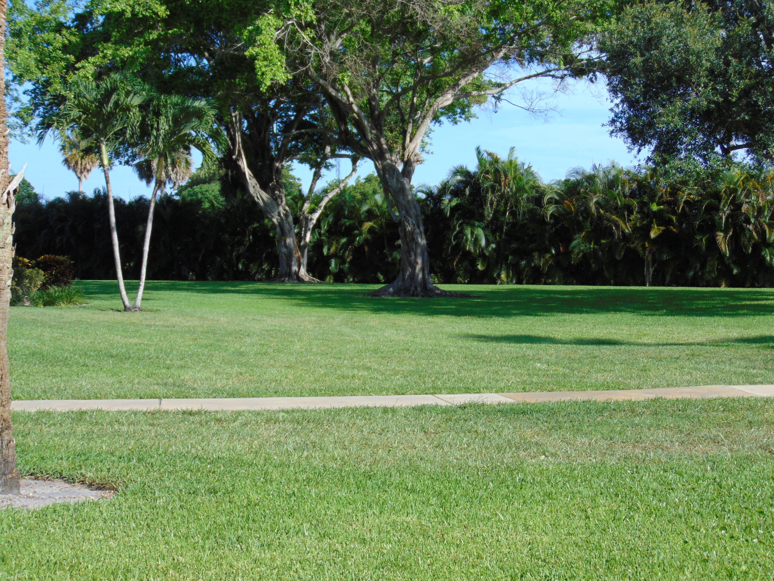 PATIOS OF BOCA BARWOOD CONDO - Residential