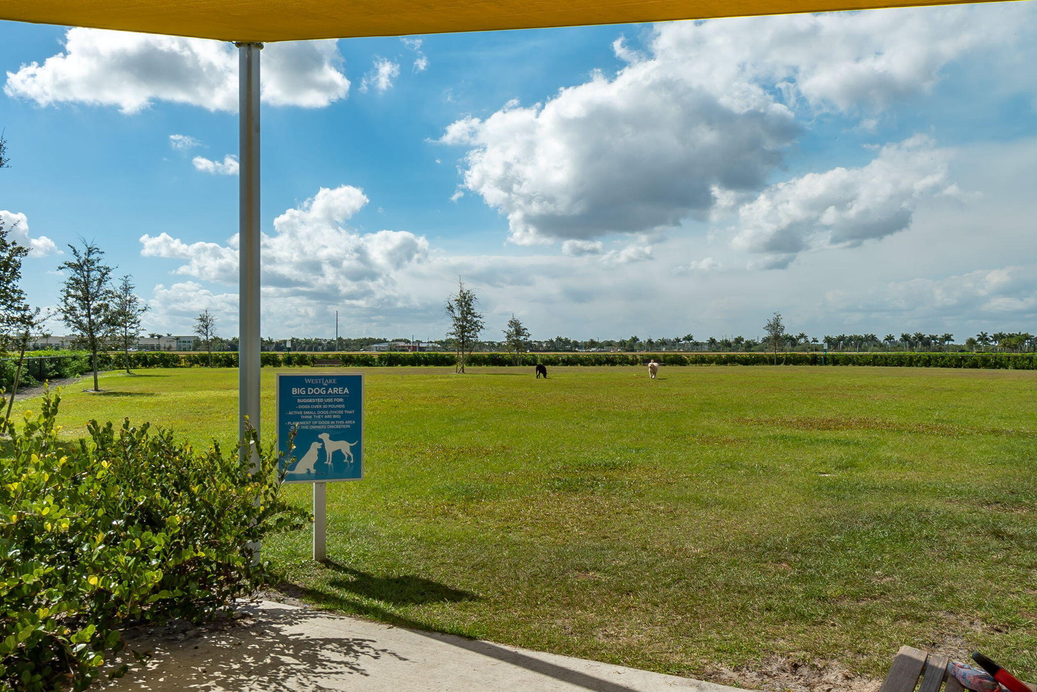 GROVES OF WESTLAKE - Residential Lease