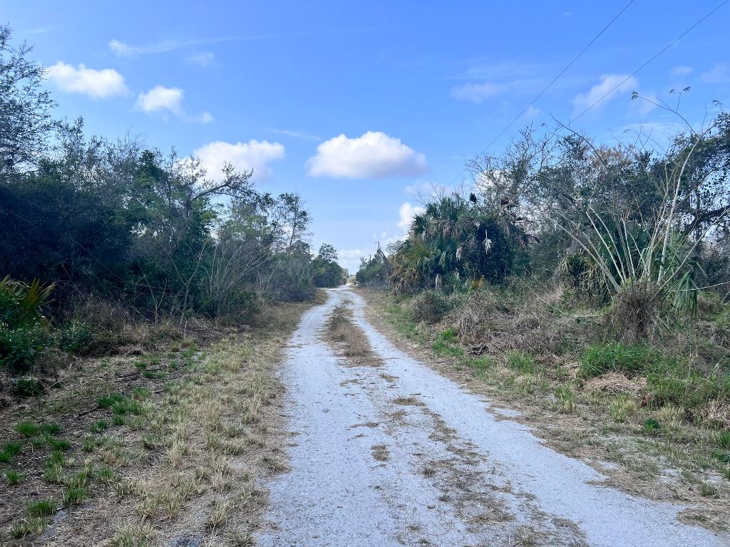SEBRING LAKES UNIT 2 C - Land